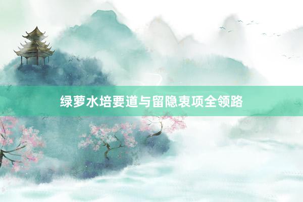绿萝水培要道与留隐衷项全领路